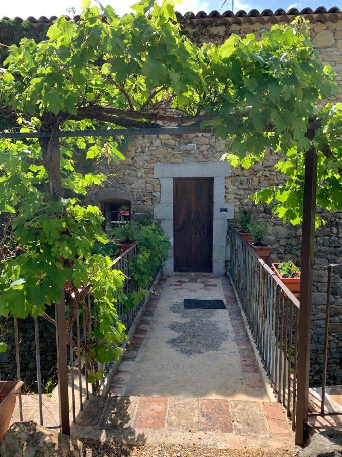 Вилла Le Fleuriste Saint-Sauveur-de-Cruzieres Экстерьер фото